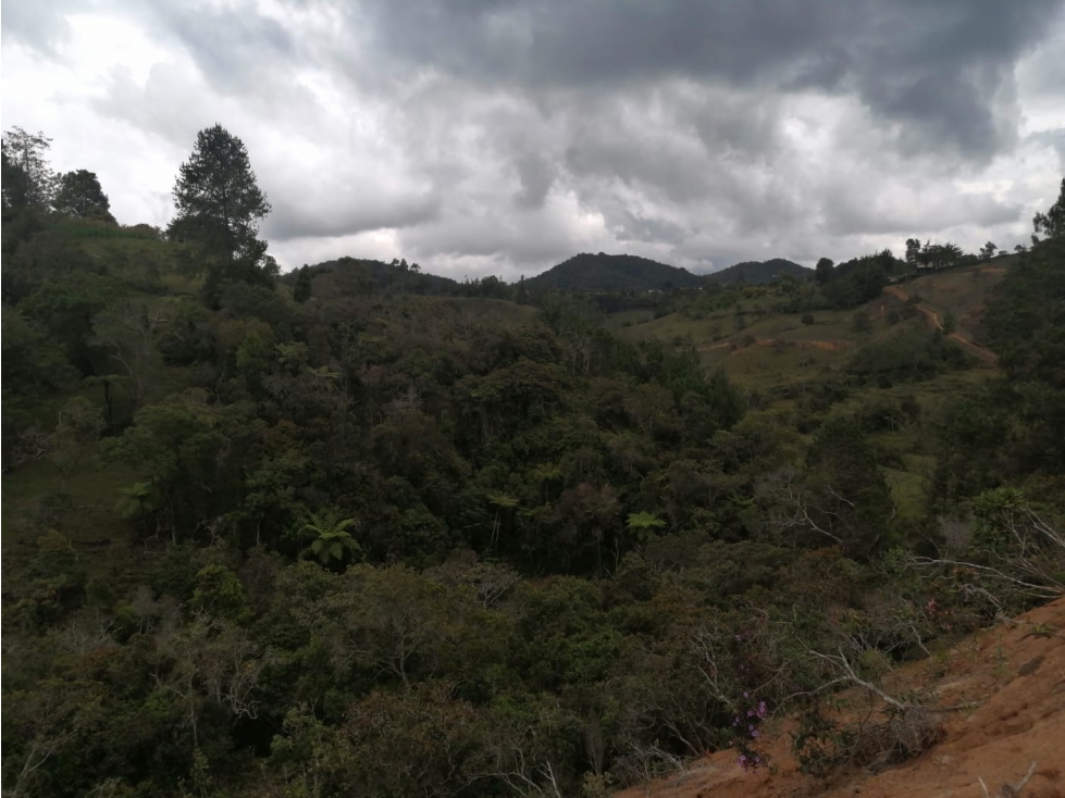 Lote en Venta en San Vicente Sector La Truchera — foto 4