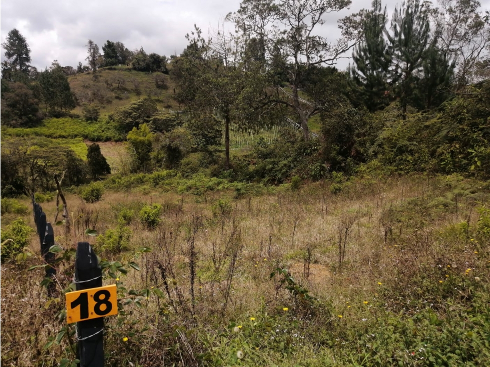 Lote en Venta Municipio de San Vicente, Sector la Truchera