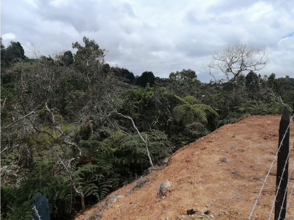 Lote en Venta Sector La Truchera Municipio de San Vicente