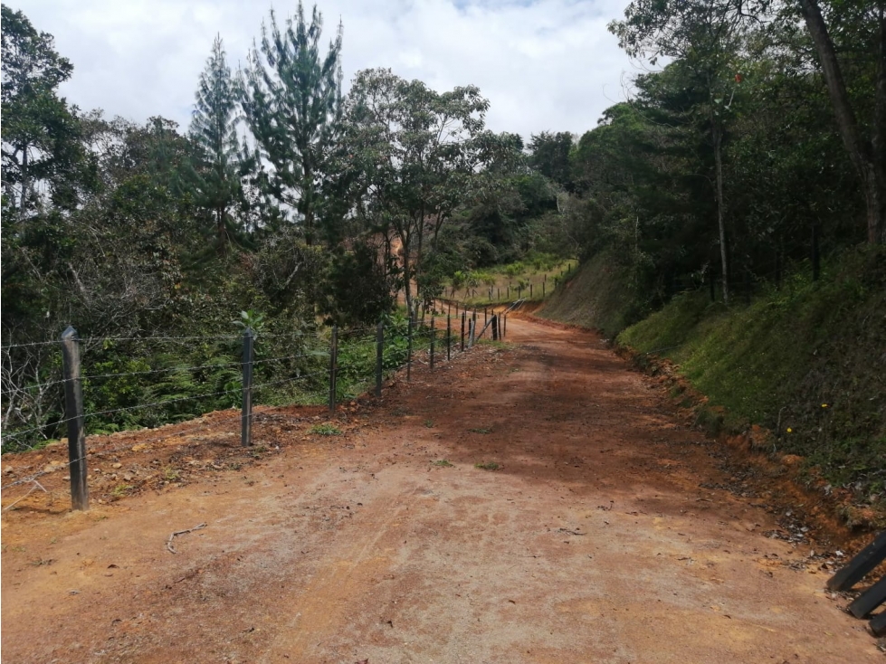 Lote en Venta Sector la Truchera, Municipio de San Vicente — foto 3
