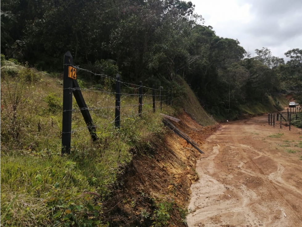 Lote en Venta en el Sector la Truchera Municipio de San Vicente — foto 3