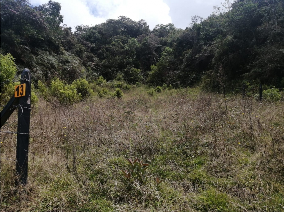 Lote en Venta Municipio de San Vicente Sector la Truchera