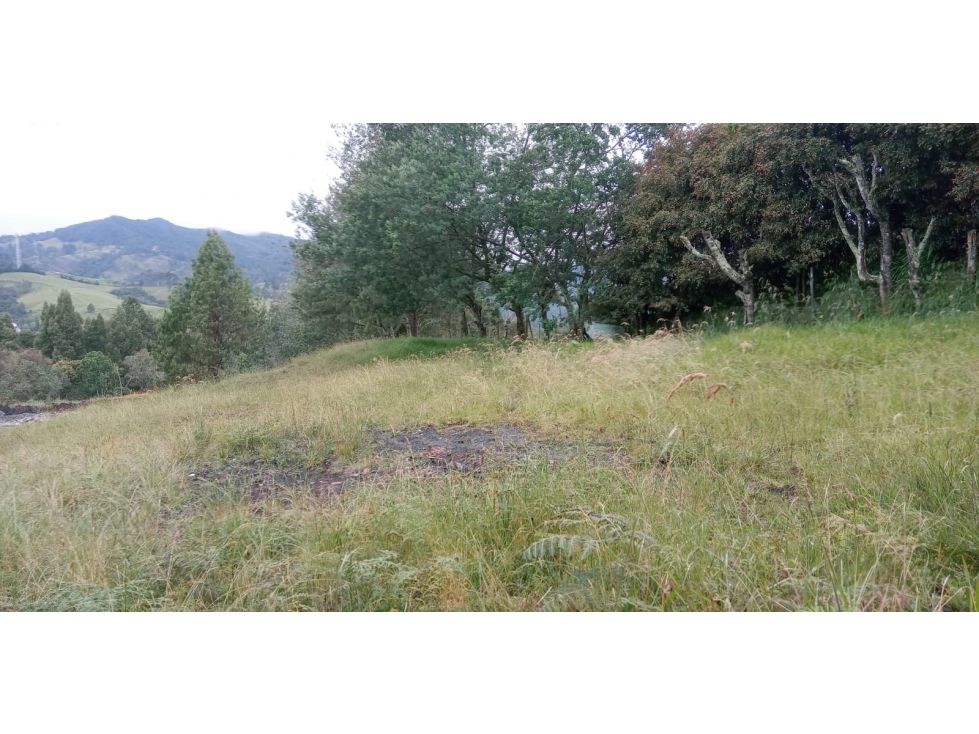 Lote en Venta Alto de las Palmas, Sector el Silencio Envigado — foto 4