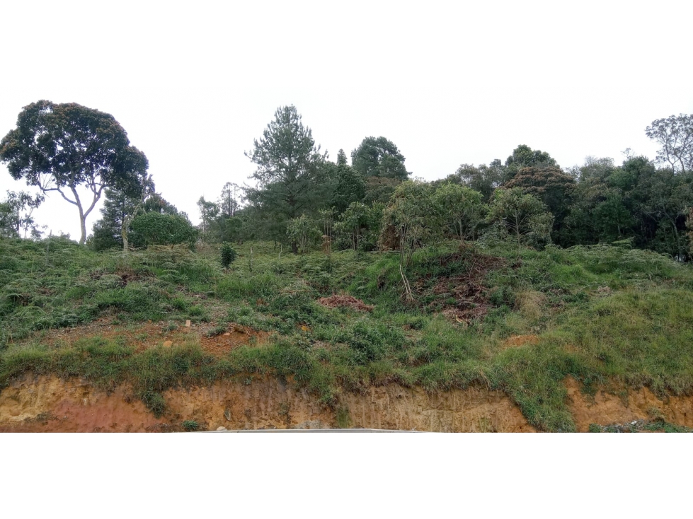 Lote en Venta Sector el Silencio en el Alto de las Palmas Envigado — foto 3
