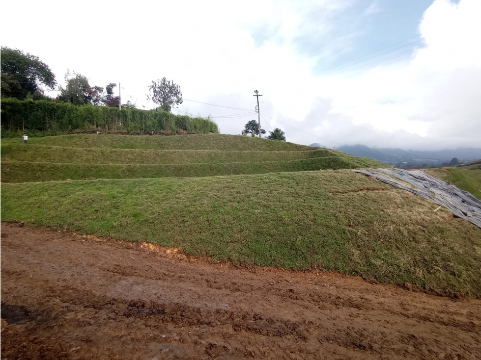 Lote en Venta en el Carmen de Viboral en el Sector Samaria