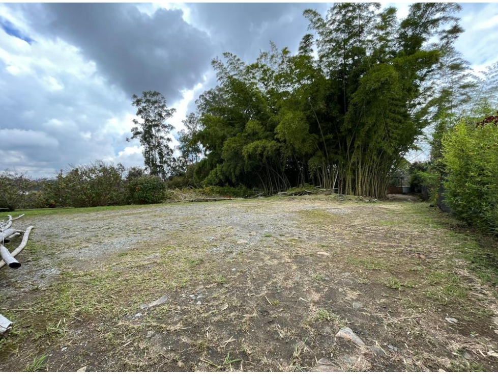 En venta lote independiente sector Gualanday - Llanogrande