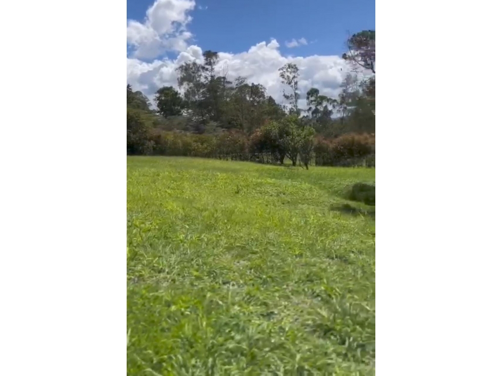 Lote en Venta Sector Gualanday - Llanogrande