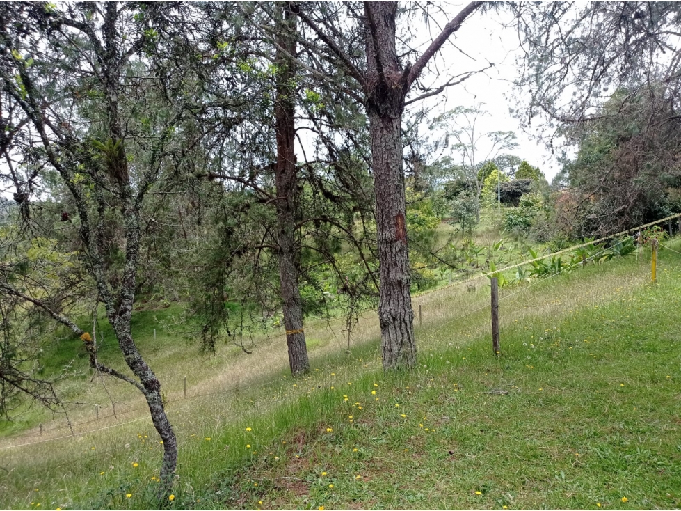 Lote en Venta en Hermosa Parcelación en el Retiro, Sector Pantanillo — foto 3