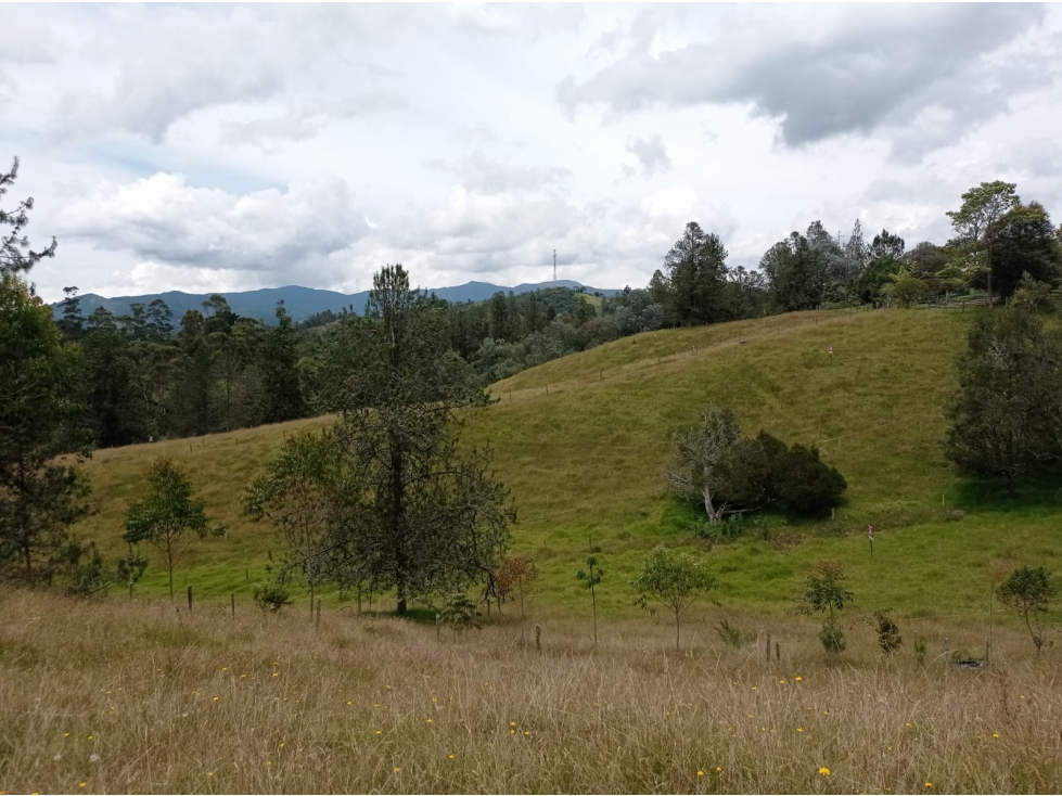 Venta Lote en Hermosa Parcelación en el Retiro, Sector Pantanillo — foto 5