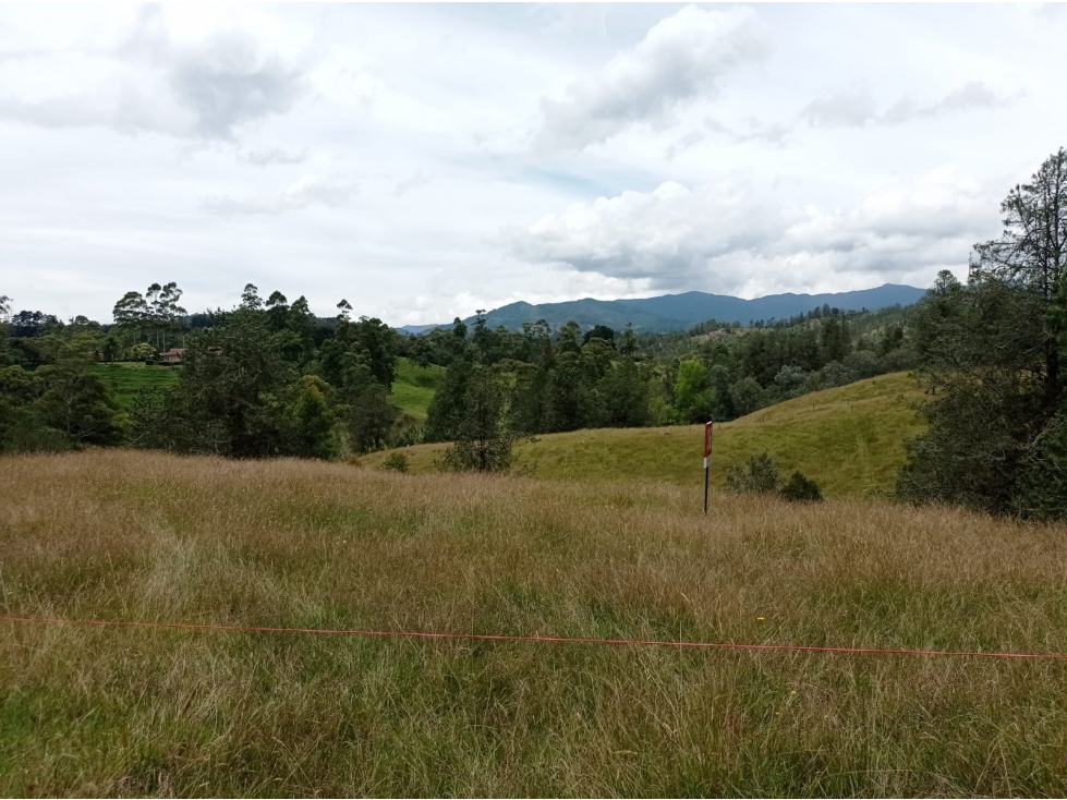 SE VENDE LOTE EN HERMOSA PARCELACIÓN EN EL RETIRO-SECTOR PANTANILLO