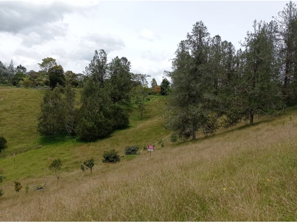 SE VENDE LOTE EN UNIDAD CERRADA EN EL RETIRO SECTOR PANTANILLO — foto 2