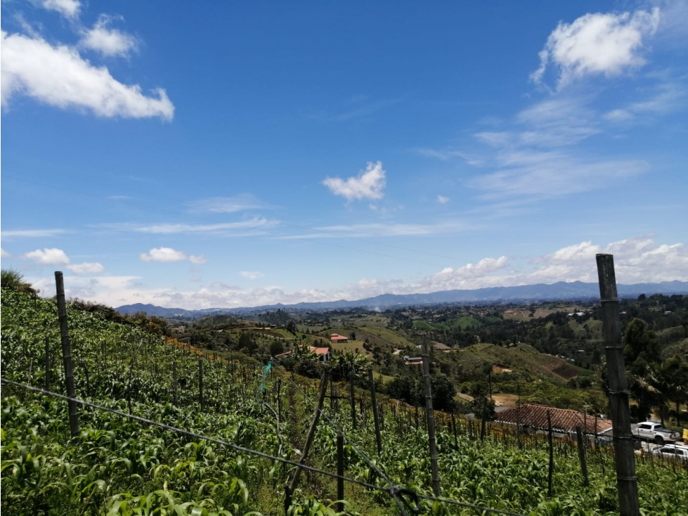 Venta de lote sector Las hojas - San Vicente — foto 3