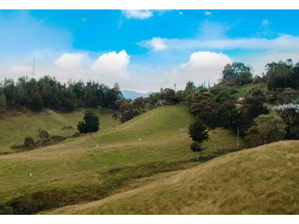 Venta de Lote Vereda Pantanillo