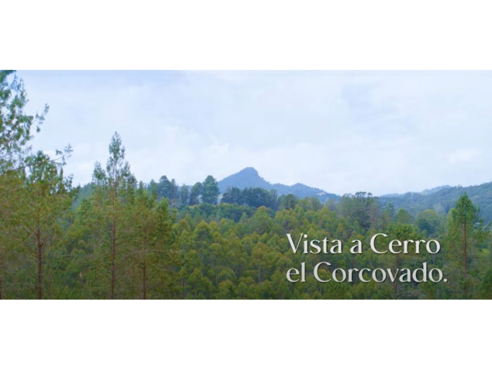 Venta de Lote Lote en Tequendamita Via Don Diego - La Ceja