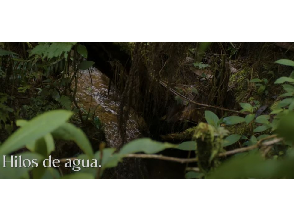 Venta de Lote Vía Don Diego - La Ceja sector Tequendamita