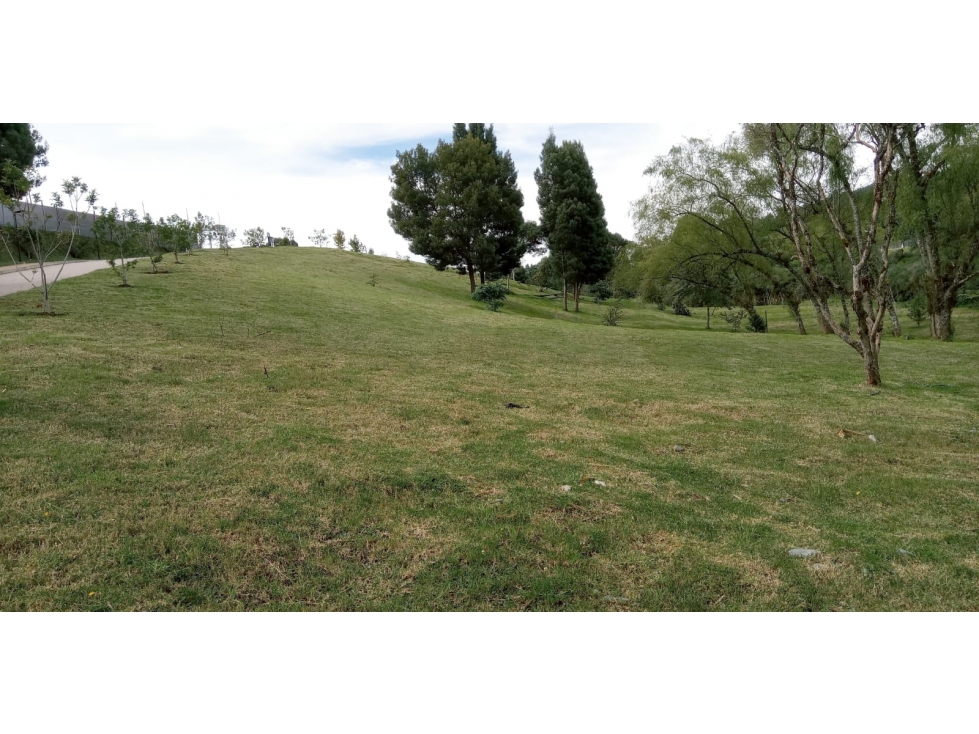 Lote en Venta Sector La Acuarela, Alto de Palmas - Envigado