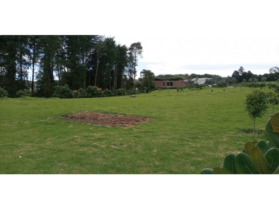 Lote en Venta Sector La Acuarela - Alto de Palmas en Envigado