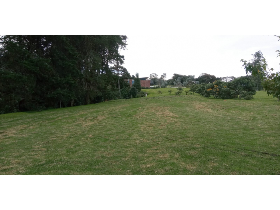 Lote en Venta Sector La Acuarela - Alto de Palmas en Envigado
