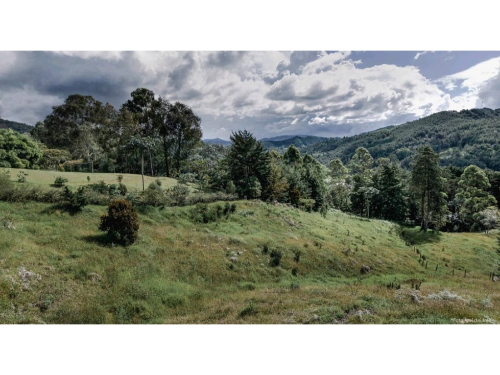 Lote en Venta Sector Llanogrande - Parcelación vía Don Diego — foto 3