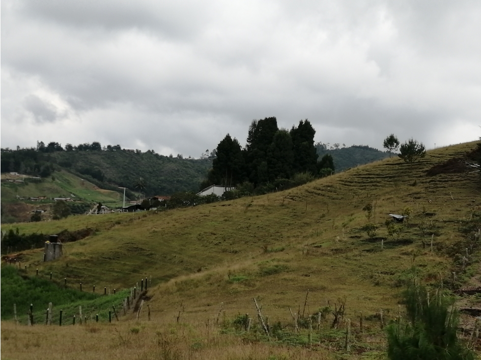 Lote en Venta Sector La Mejia - Guarne