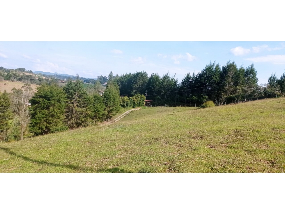 Lote en Venta - Guarne