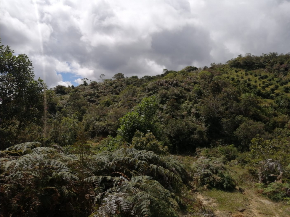 Lote en Venta Sector El Porvenir - San Vicente — foto 2