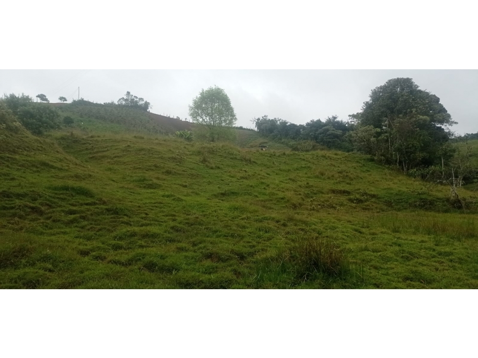 Hermoso Lote en Venta Sector Vereda el Morillo - Santuario — foto 2