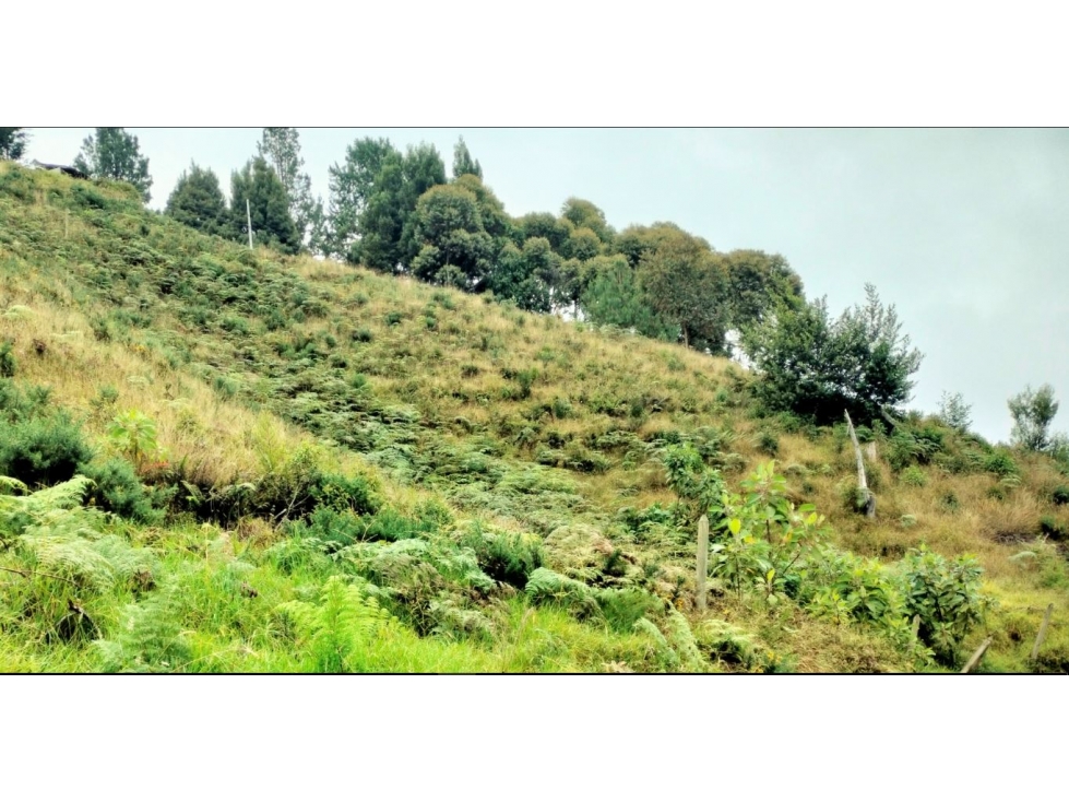 Lote en Venta Sector Escobero - Envigado