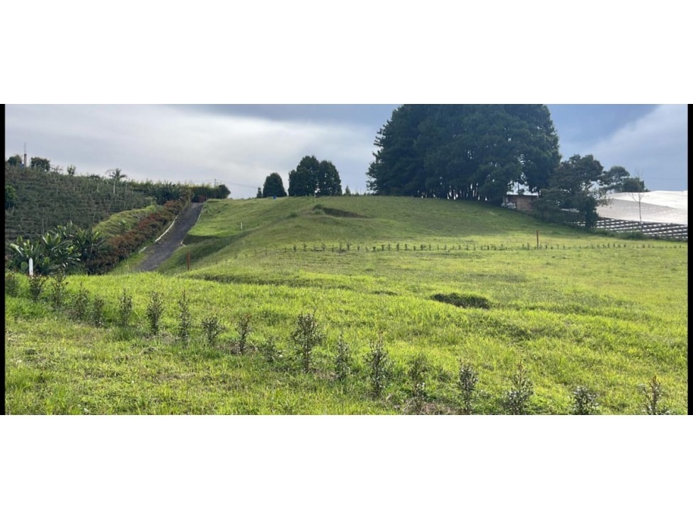 Lote en Venta Sector El Canadá Carmen de Viboral