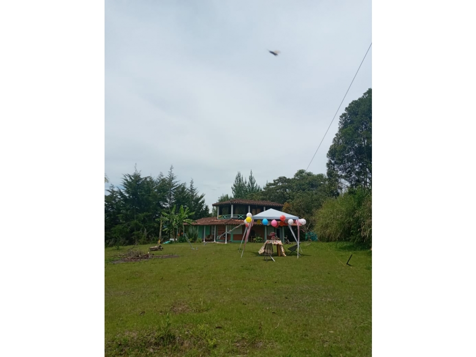 Finca Sector Ojo de Agua Parte Alta El Carmen de Viboral — foto 3