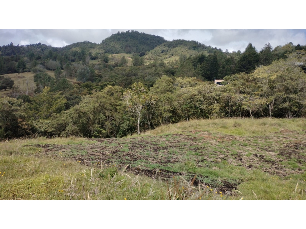 Lote en Exclusivo Sector en Alto de Palmas, Envigado