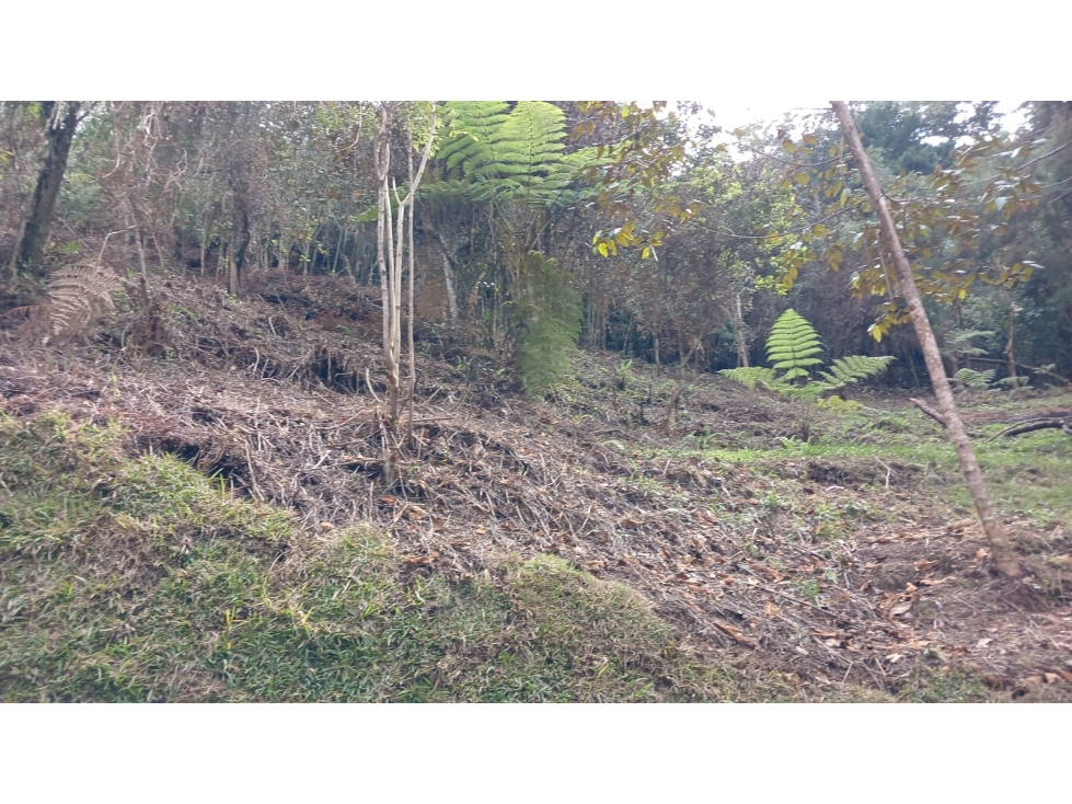 Lote Campestre en Puente Pelaez en el Retiro Antioquia