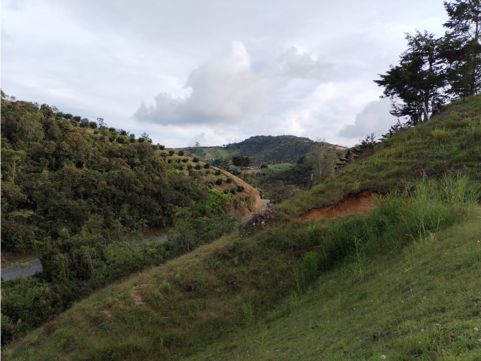 Lote con Hermosa Vista en Venta, Sector la Magdalena, San Vicente