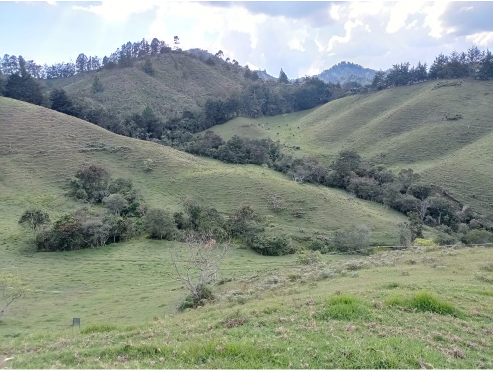 Lote en Venta en Exclusivo Proyecto, en el Retiro don Diego- la Ceja