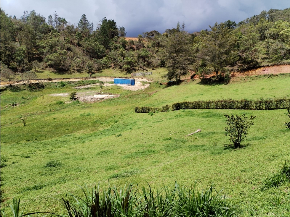 Lote Campestre en Venta, Vereda San Ignacio, San Vicente