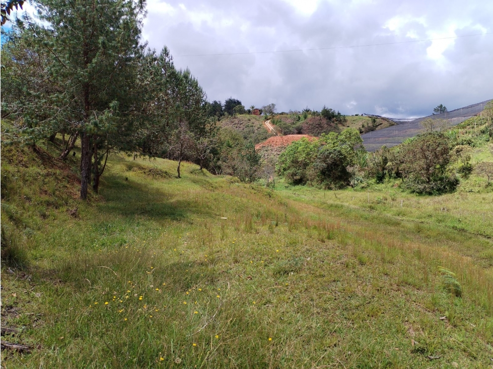 Lote en Venta, Sector San Ignacio en San Vicente Ferrer