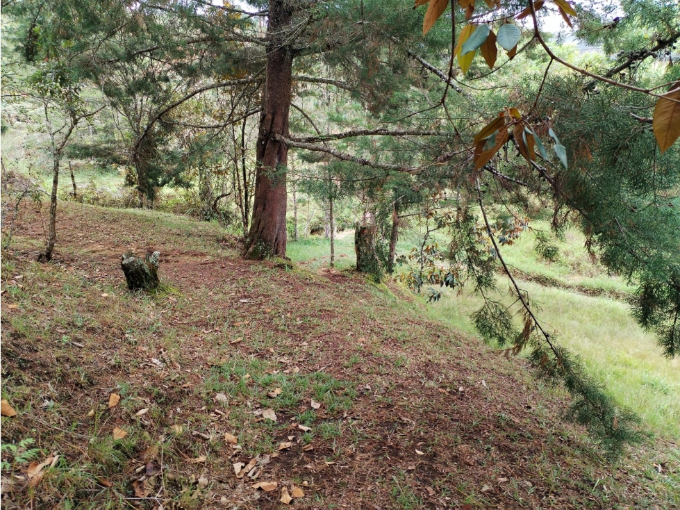 Lote en Venta en Parcelación Campestre en San Vicente Ferrer