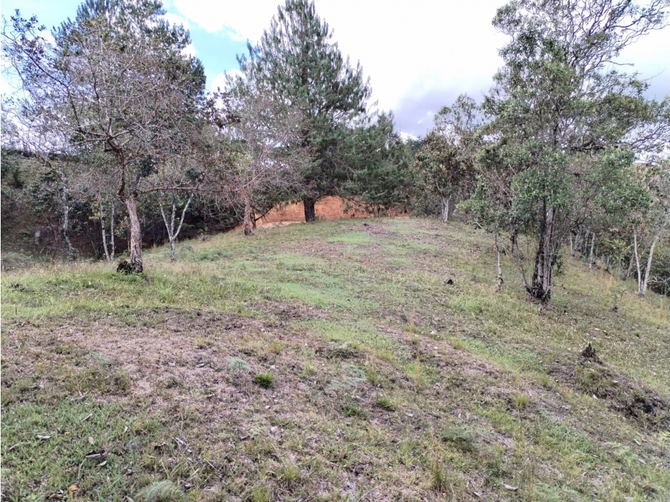 Lote en Venta Sector Vereda San Ignacio en San Vicente
