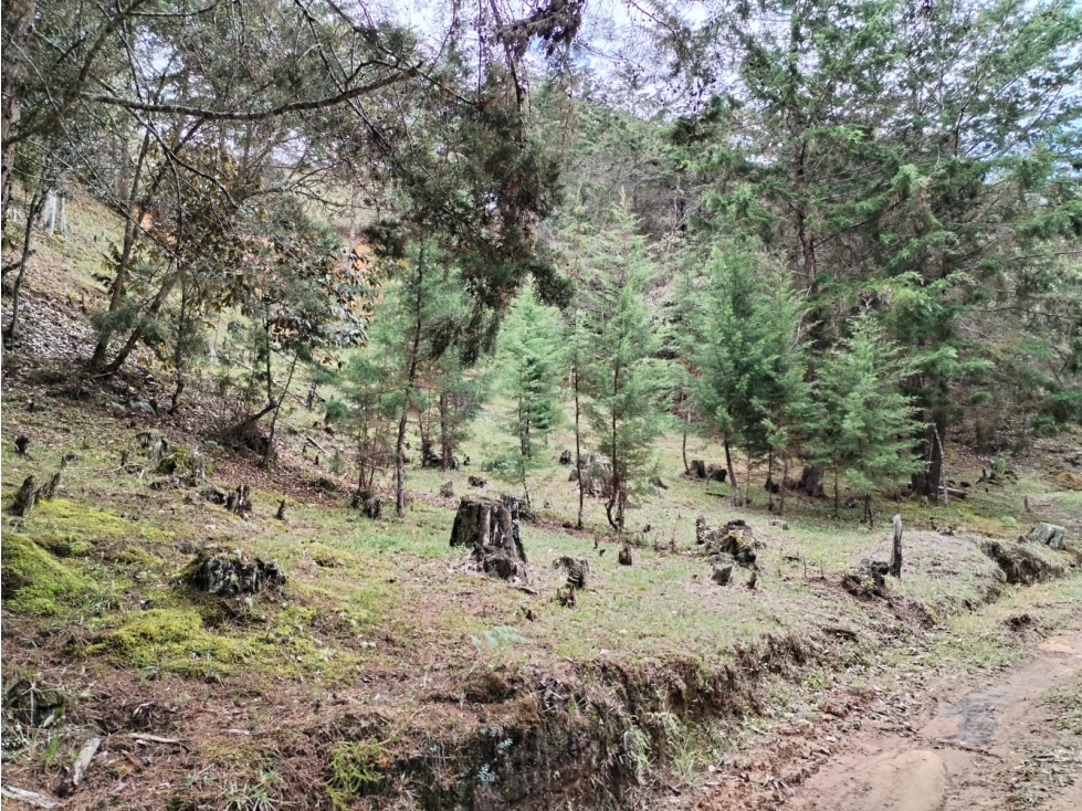 Lote en Venta en Parcelación Sector San Ignacio en San Vicente