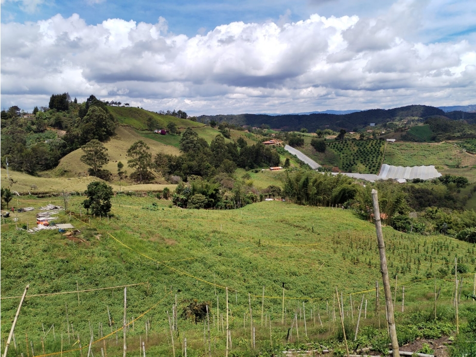 Lote en Venta, Sector la Floresta en San Vicente Ferrer