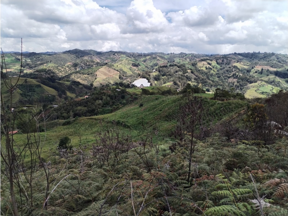 Lote en Venta en Zona Campestre, Sector la Floresta en San Vicente