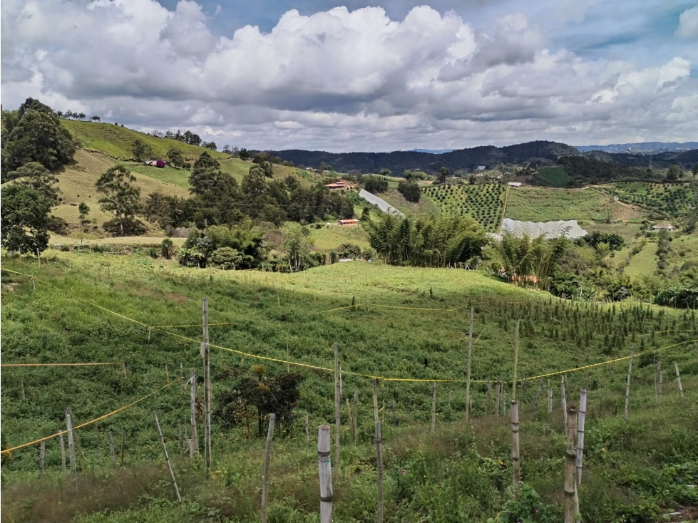 Lote en Venta, Sector la Floresta en San Vicente