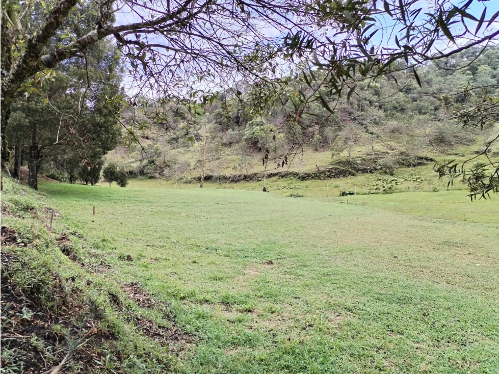 Lote en Venta Sector Vereda San Ignacio, San Vicente Ferrer