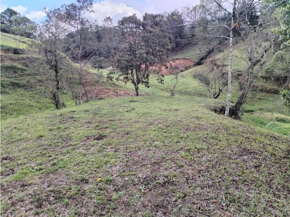 Lote en Parcelación Campestre, Vereda San Ignacio, San Vicente