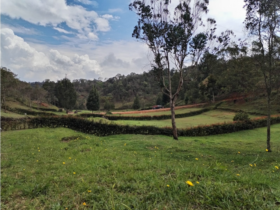 Lotes en Venta en Parcelación, Sector San Ignacio, San Vicente