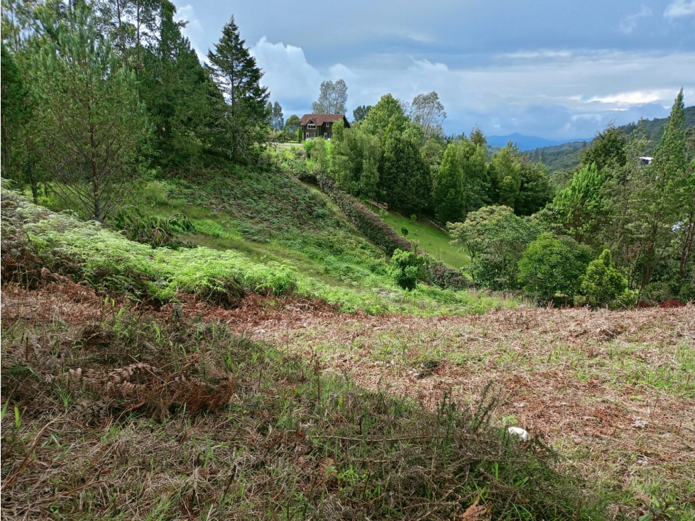 Lote en Venta, Sector Alto de Palmas, Envigado