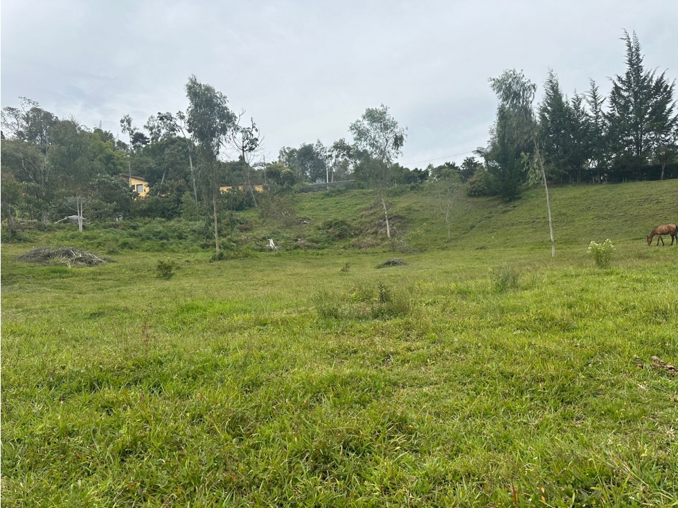 Lote en Venta Sector El Tablazo, Rionegro