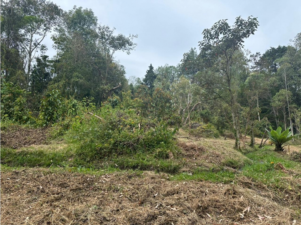 Lote en Venta Sector El Tablazo, Rionegro