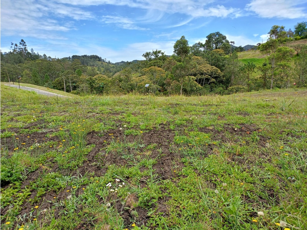 Lote en Venta Sector Pantanillo El Retiro