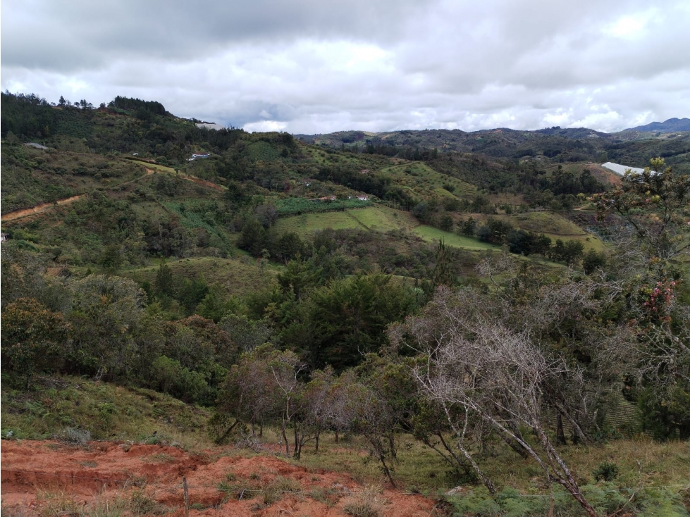 Lote en Venta Sector Vereda La Enea, San Vicente